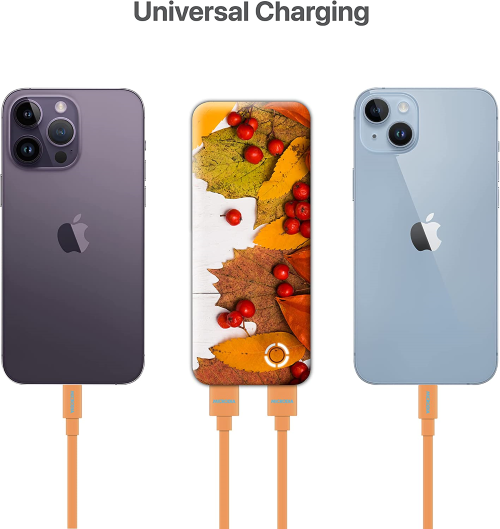 power bank#color_autumn