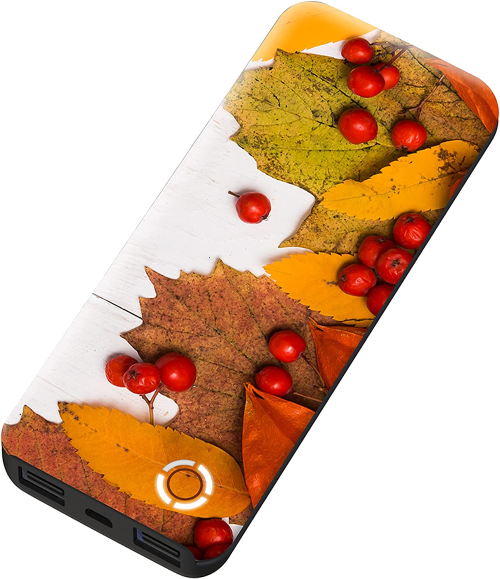 power bank#color_autumn